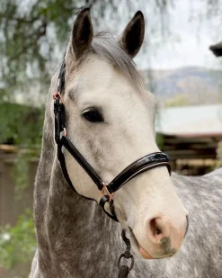 Halter Ego Aurelia Rose Gold Halter