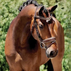 Halter Ego® Catalonia Snaffle Bridle