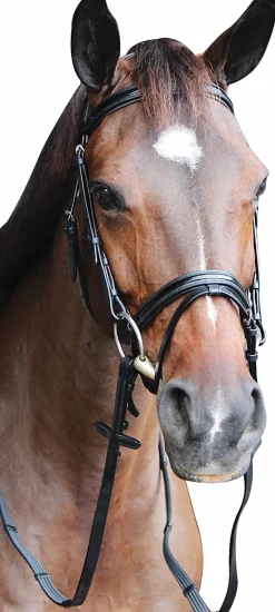Henri de Rivel Piaffe Mono Crown Bridle with Flash Noseband & Patent Leather