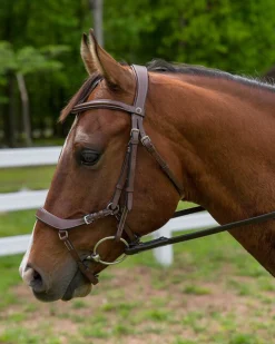 Henri de Rivel Pro Anatomical Bridle