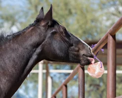 Horsemen’s Pride™ Jolly Salt Snack, 2.2 Pounds