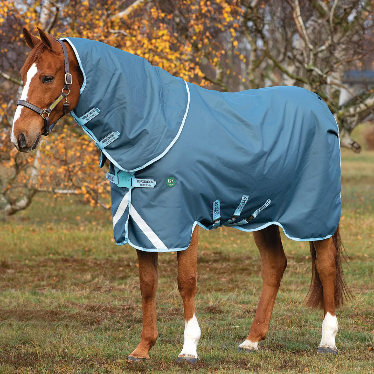 Horseware® Ireland Amigo® AmEco 12 Plus Medium-Weight Turnout Blanket