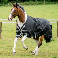 Horseware® Ireland Amigo® 1200D Turnout Standard Neck