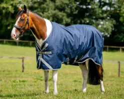 Horseware® Ireland Amigo® 1200D Turnout Standard Neck