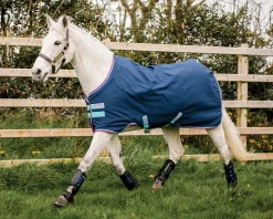 Horseware® Ireland Amigo® Pony Hero 900D Medium-Weight Turnout Blanket