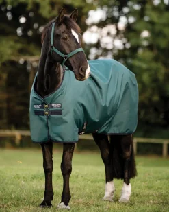 Horseware® Ireland Amigo® Ripstop 900D Standard Neck Turnout Sheet