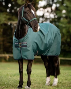 Horseware® Ireland Amigo® Ripstop 900D 200 Gram Standard Neck Pony Turnout–Seasonal Color
