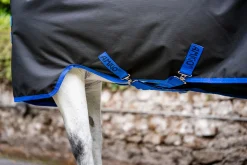 Horseware® Ireland Amigo® Ripstop 900D 50 Gram Standard Neck Pony Turnout