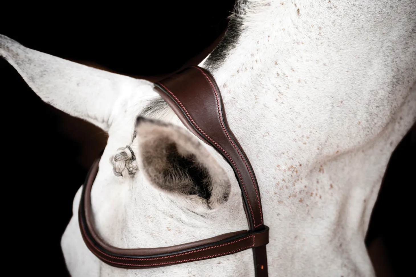 Horseware® Ireland Micklem2 Competition Bridle with Reins