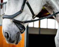 Horseware® Ireland Micklem2 Multibridle USA with Reins