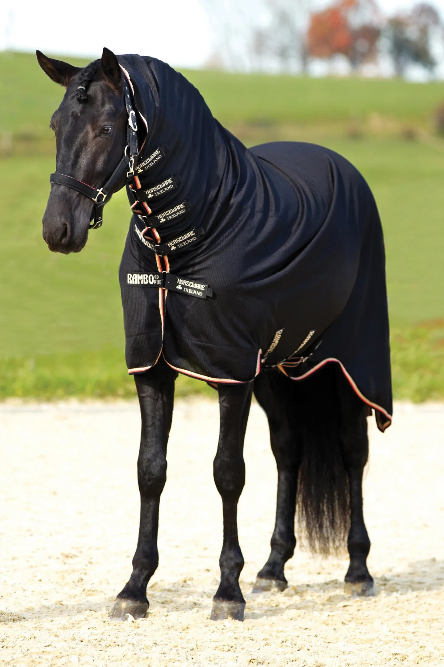 Horseware® Ireland Rambo® Dustbuster