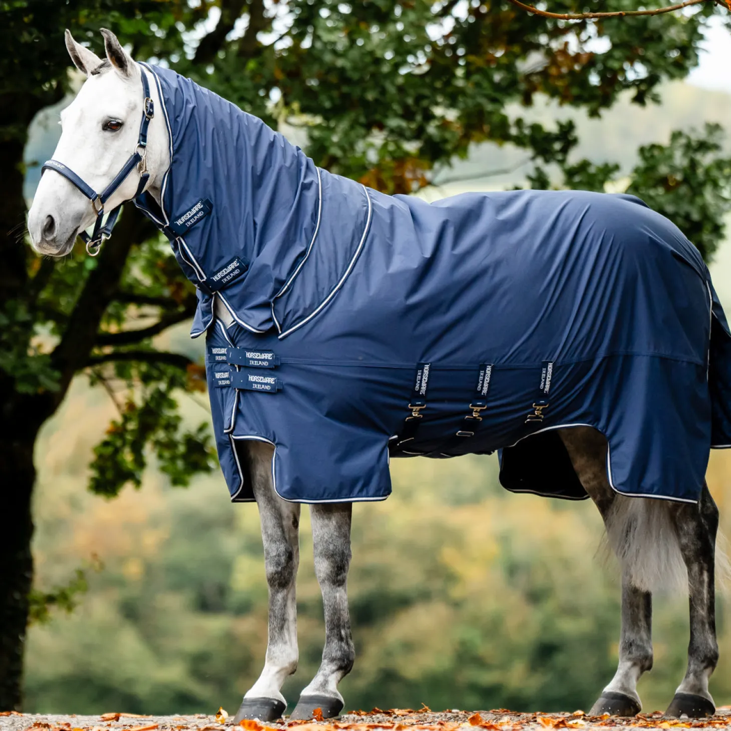 Horseware® Ireland Show Ready Rug