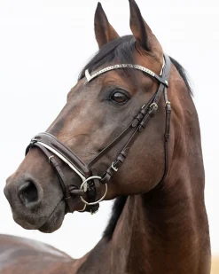 Horze Grayson Snaffle Bridle