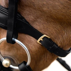 Horze Lester Snaffle Bridle