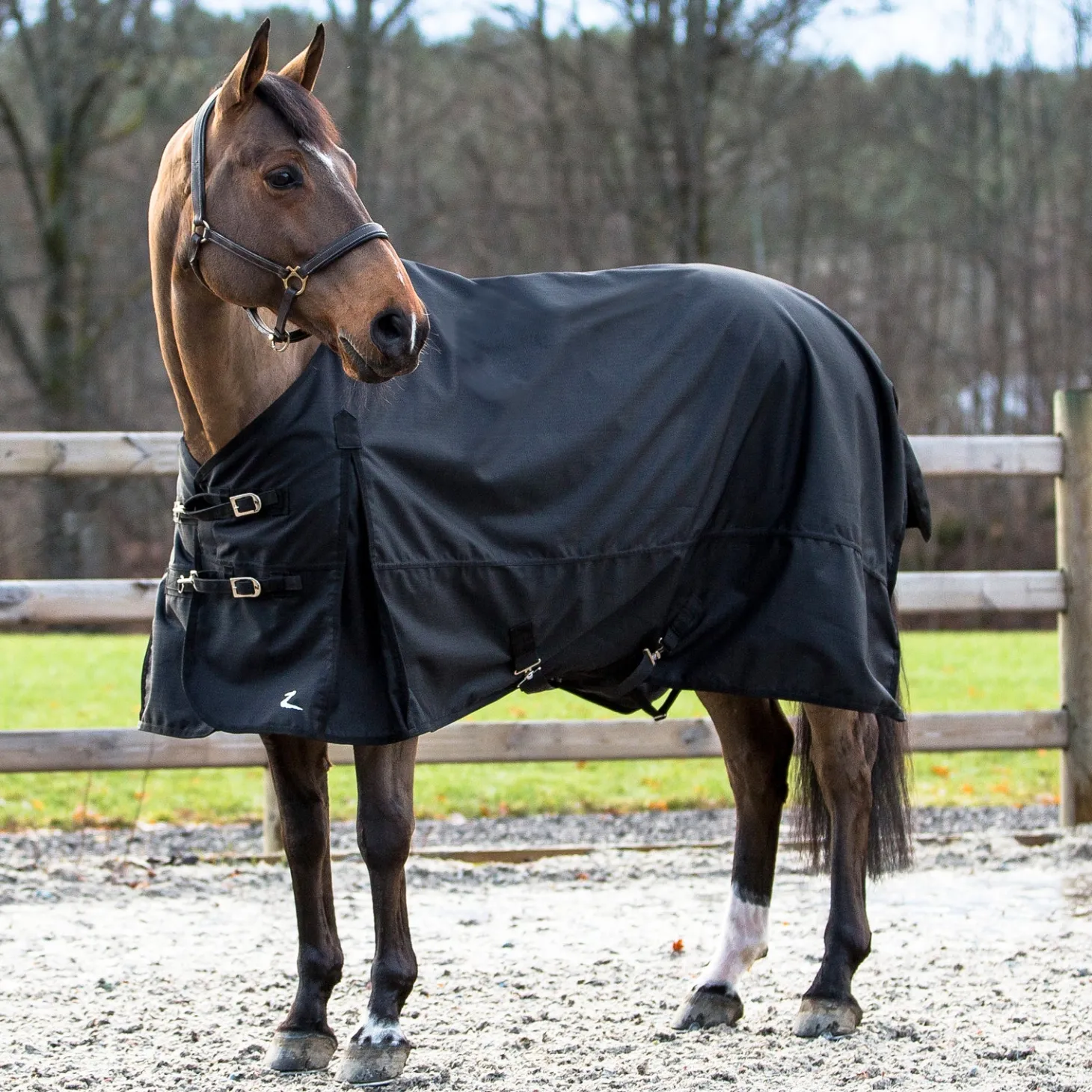 Horze Nevada 1200D Lightweight Turnout Sheet