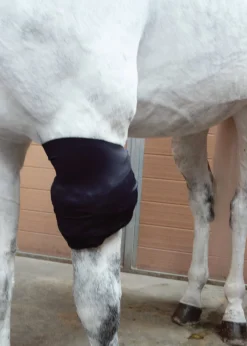 Ice Horse® All-Purpose Wrap