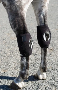Ice Horse® Hock Wraps - Pair