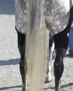 Ice Horse® Pony Stifle Wraps – Pair