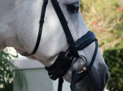 Kathy Connelly Chin Pad