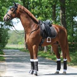 Kavalkade KavalEasy Rhinestone Dressage Pad
