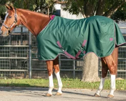 Kensington™ Pony Signature Lightweight Turnout Blanket