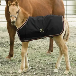 Kensington™ Signature Adjustable Large Foal Turnout