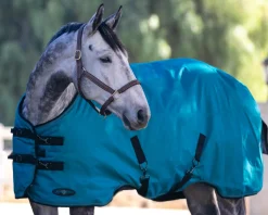 Kensington™ Signature Heavyweight Turnout Blanket