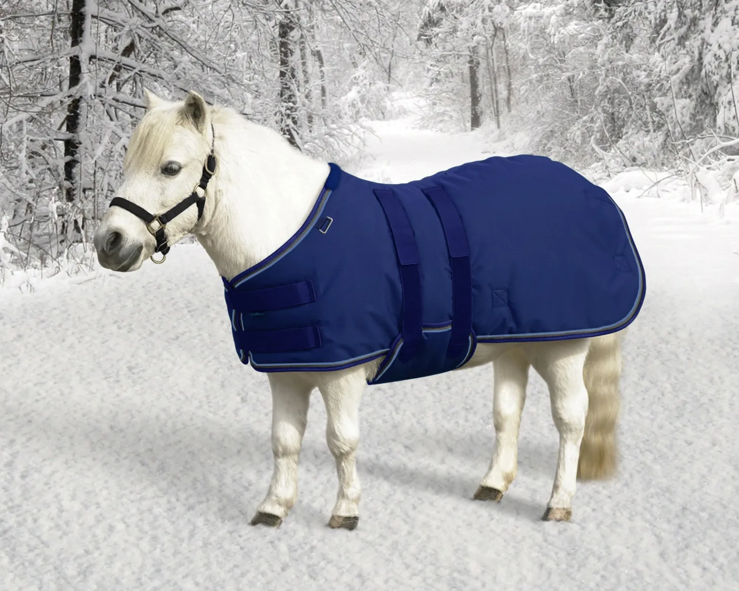 Kensington™ Signature Mini Heavyweight Turnout Blanket