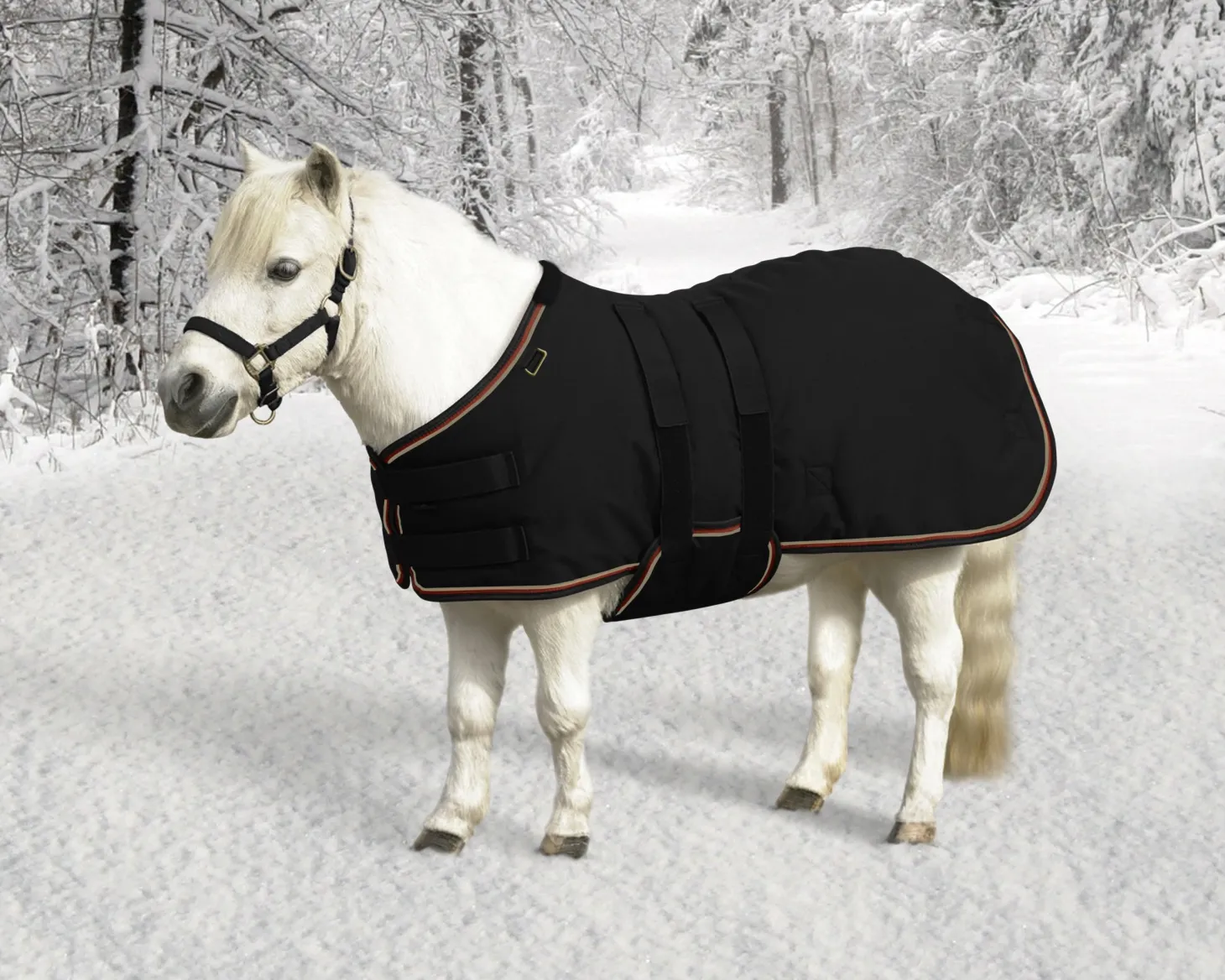 Kensington™ Signature Mini Heavyweight Turnout Blanket