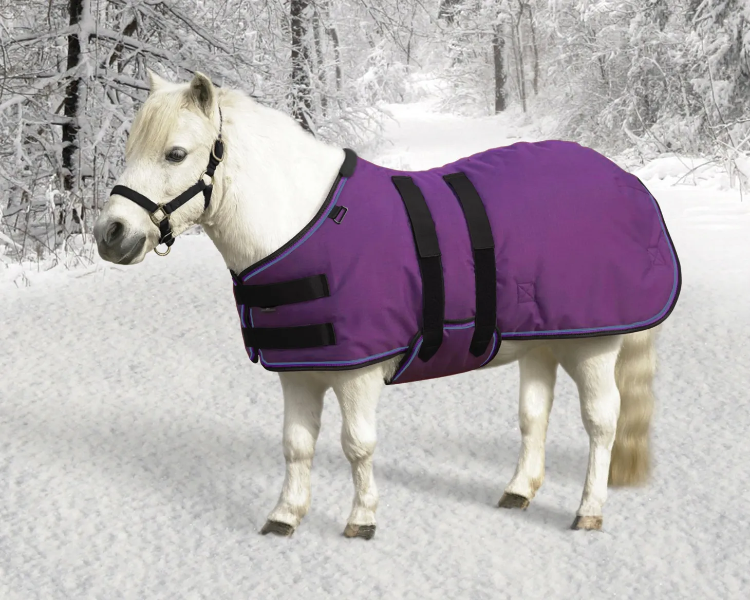 Kensington™ Signature Mini Heavyweight Turnout Blanket