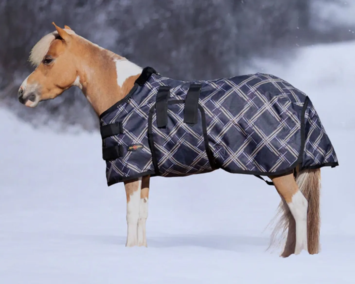 Kensington™ Signature Mini Heavyweight Turnout Blanket