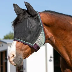 Kensington™ UViator CatchMask Protective Mask with Ears & Forelock Opening