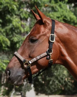 Kensington™ Premium Halter