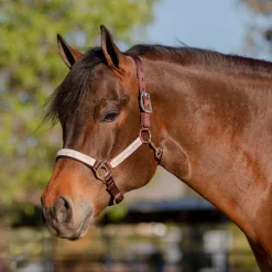 Kensington™ Premium Halter