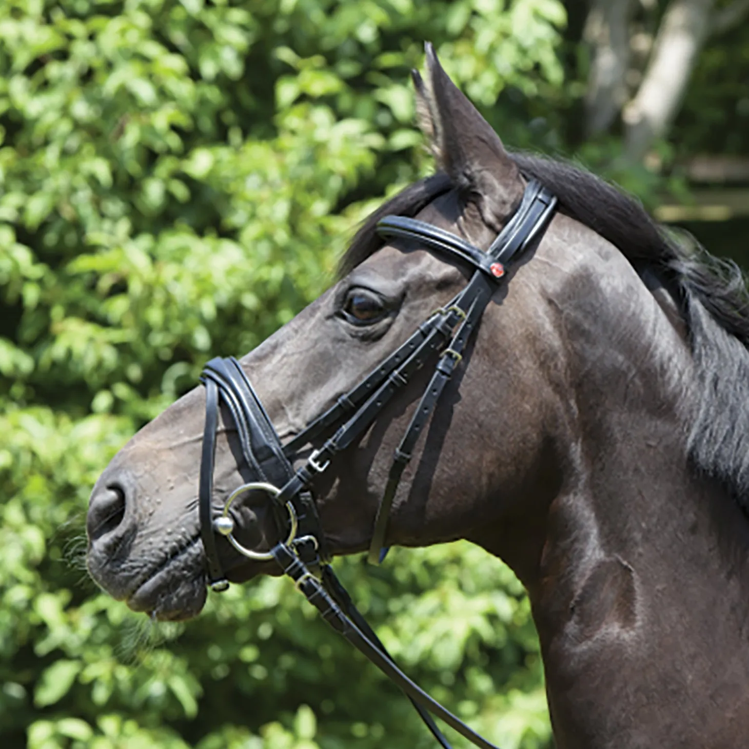 Kieffer Perseus Clincher Snaffle Bridle