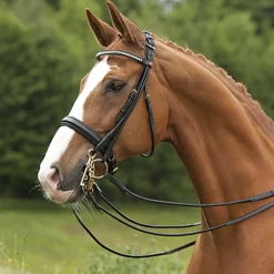 Kieffer Sylvie Double Bridle