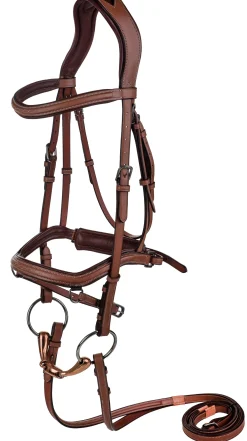 Laureate by Henri de Rivel Anatomic Bridle with Rubber-Lined Reins