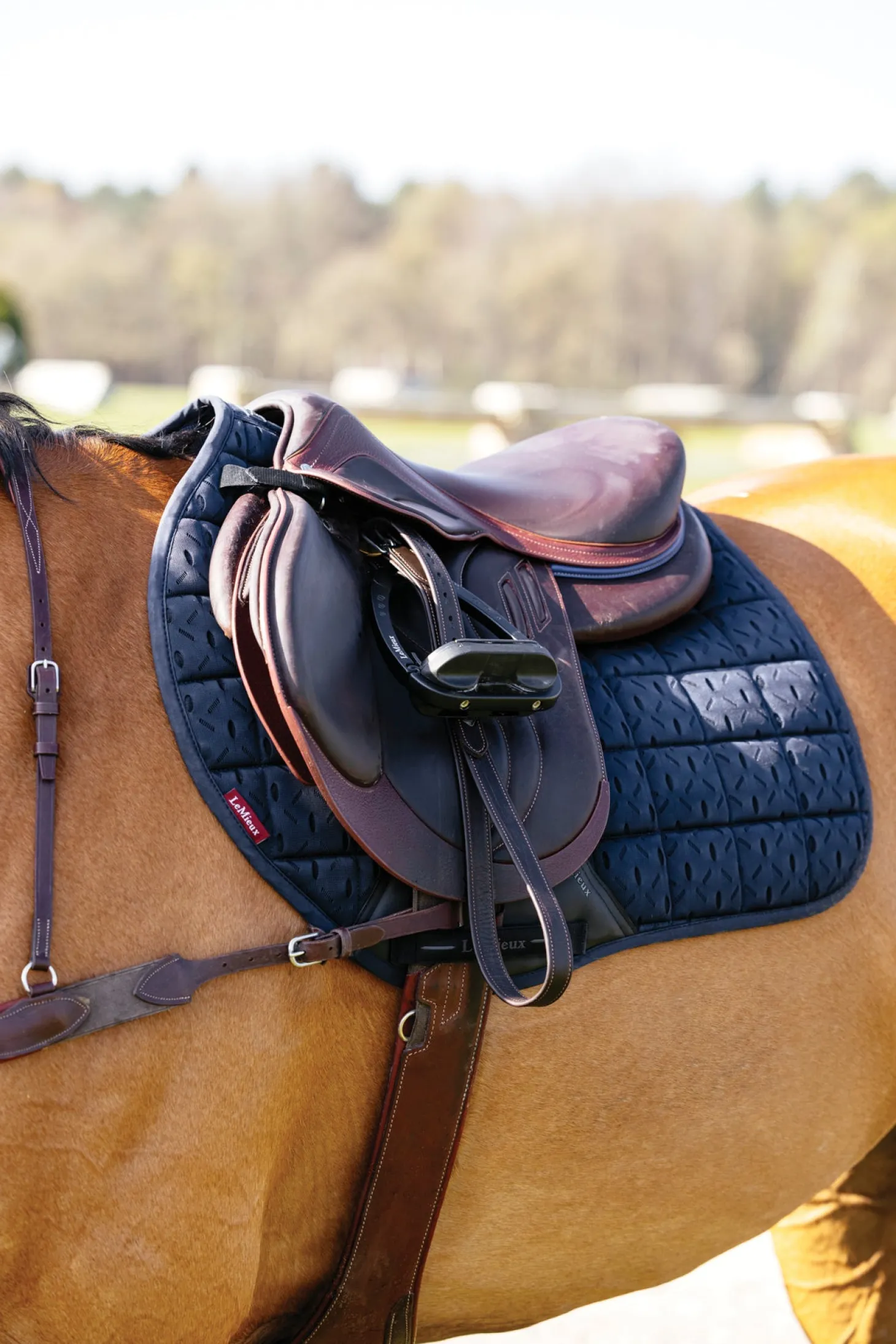 LeMieux® 3D Mesh Self-Cool Eurojump Saddle Pad
