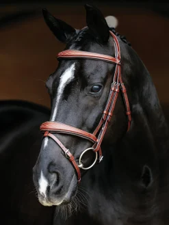 LeMieux® Kudos Competition Flash Bridle