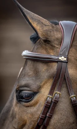 LeMieux® Kudos Competition Flash Bridle