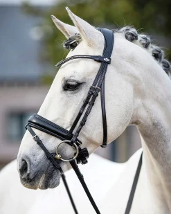 LeMieux® Kudos Dressage Flash Bridle