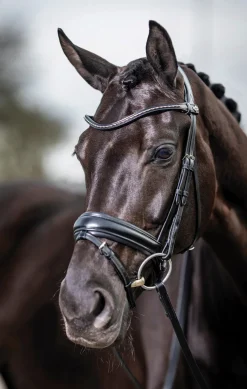 LeMieux® Kudos Dressage Flash Bridle
