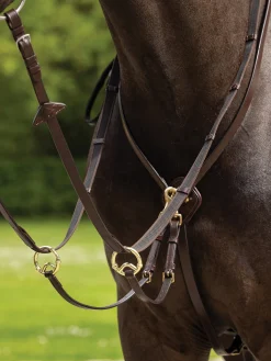 LeMieux® Kudos Running Martingale