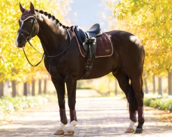 LeMieux® Loire Classic Dressage Saddle Pad