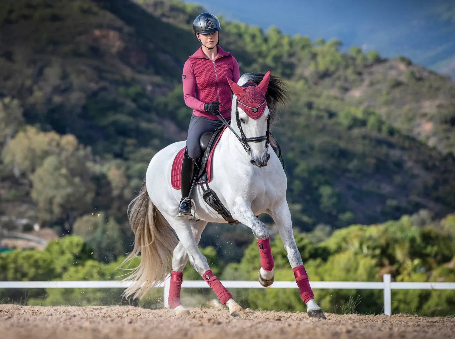 LeMieux® Loire Polo Bandages