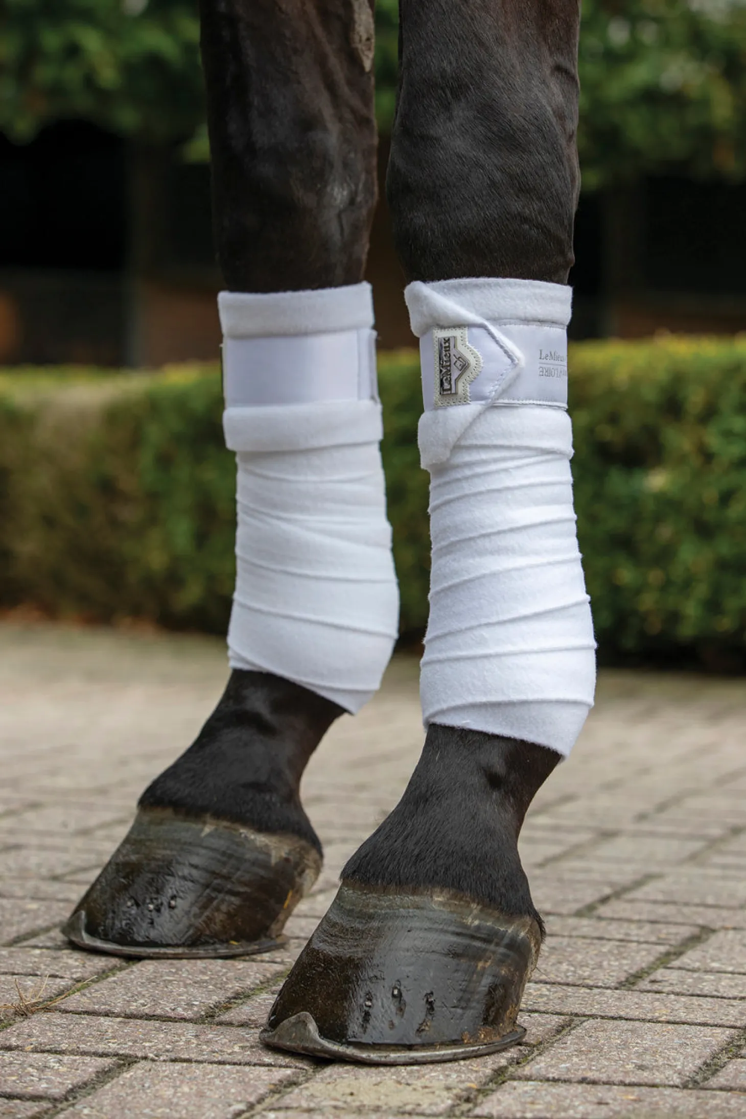 LeMieux® Loire Polo Bandages