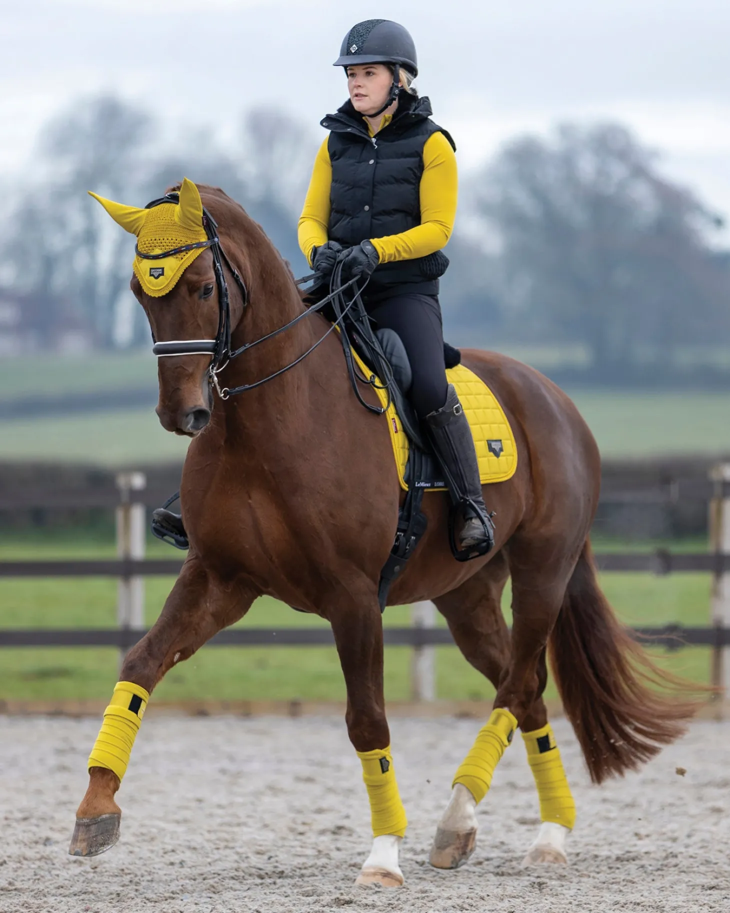 LeMieux® Loire Satin Polo Bandages