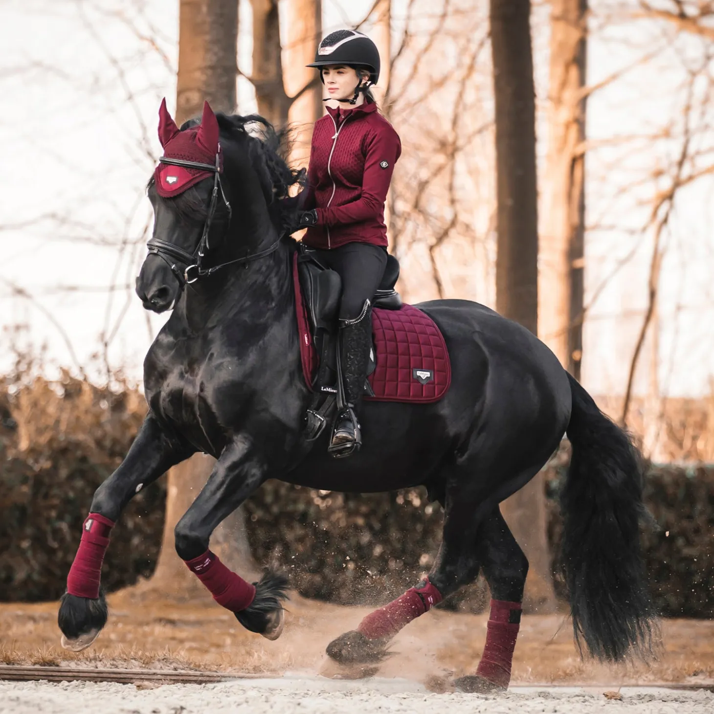 LeMieux® Loire Satin Polo Bandages