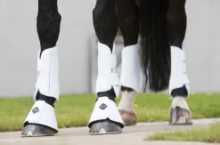LeMieux® Pro Schooling Boots