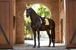 LeMieux®  Suede Dressage Pad